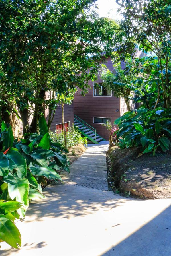 Moon Forest Apartments Monteverde Extérieur photo