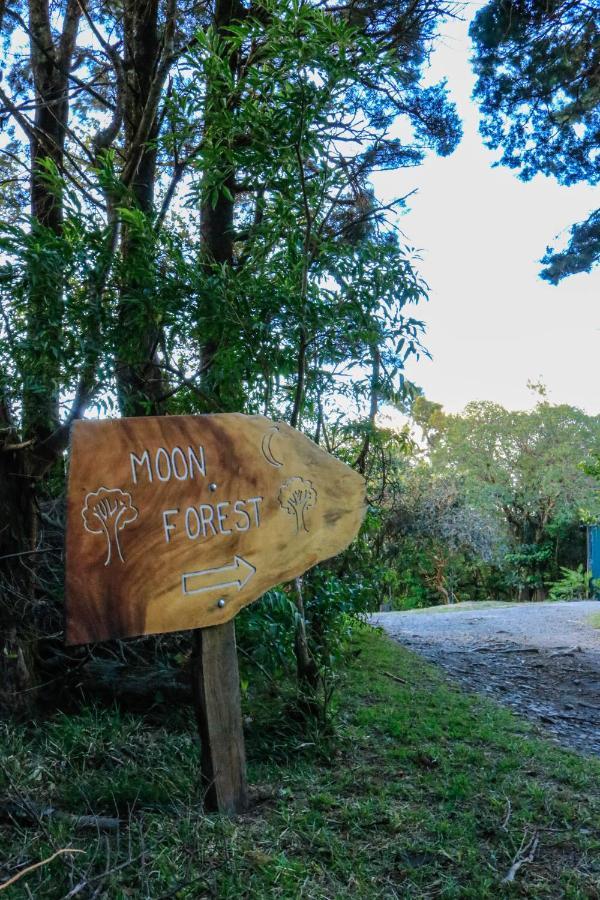 Moon Forest Apartments Monteverde Extérieur photo