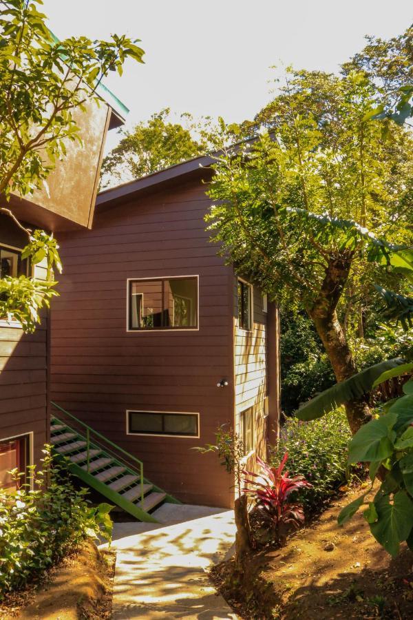 Moon Forest Apartments Monteverde Extérieur photo