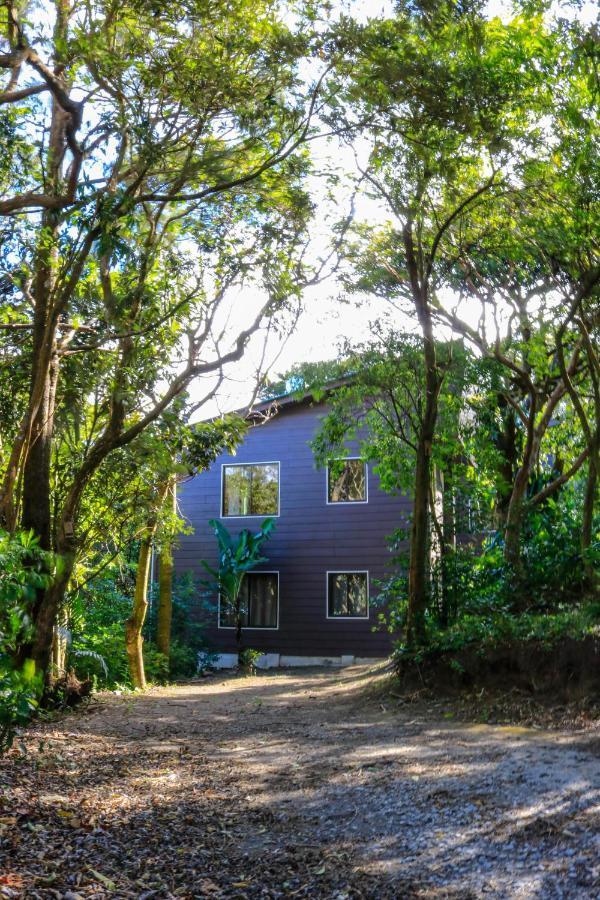 Moon Forest Apartments Monteverde Extérieur photo